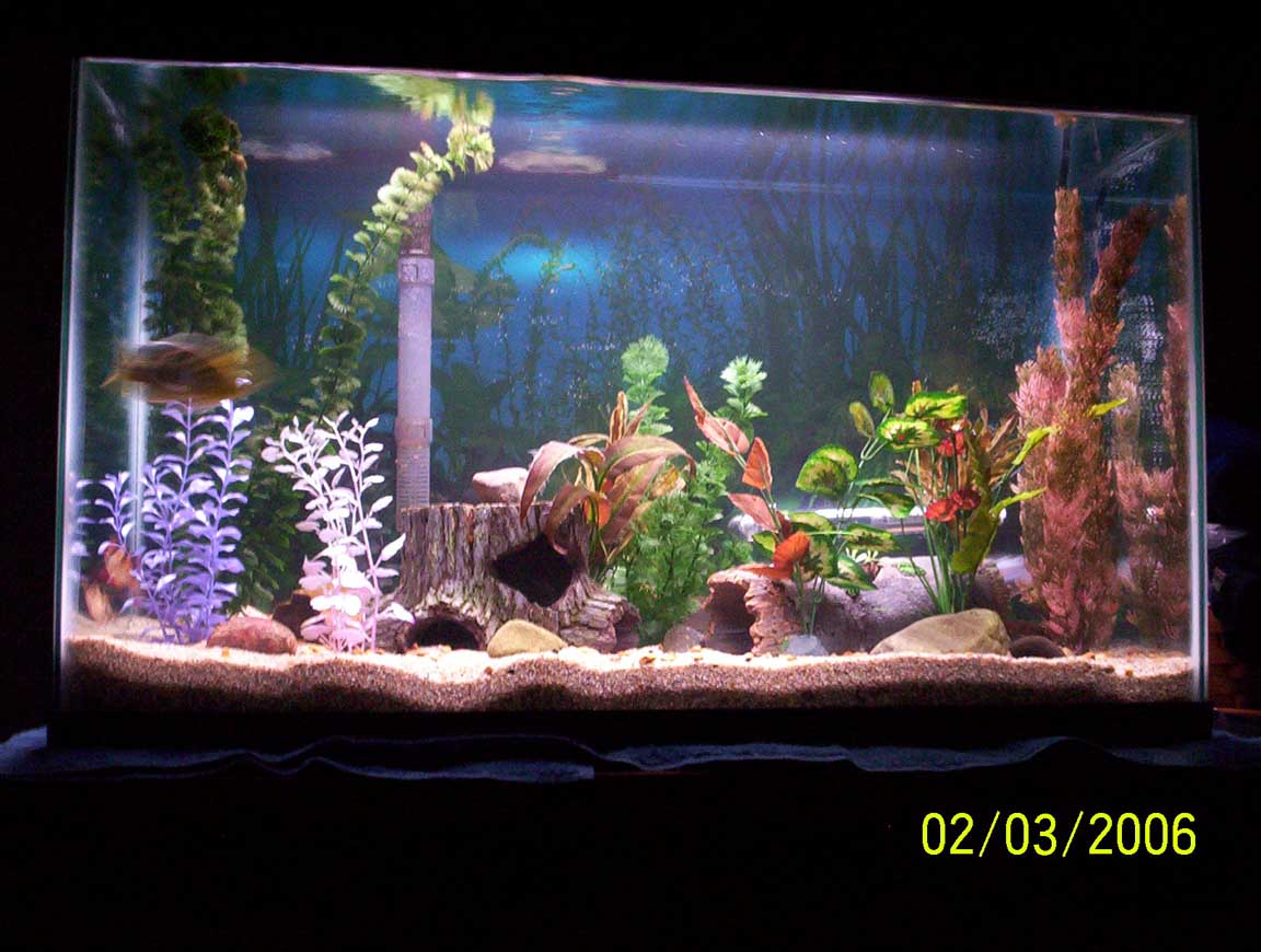 my aquarium 040 med
