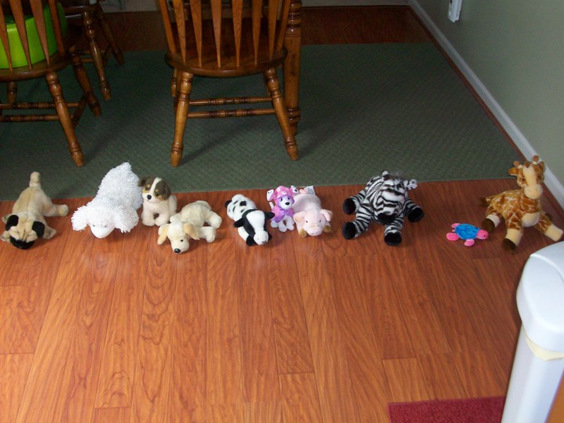 My daughter likes to do this with her stuffed animals even through she is 2 years old I think she is plotting a coup against me with the animals LOL!