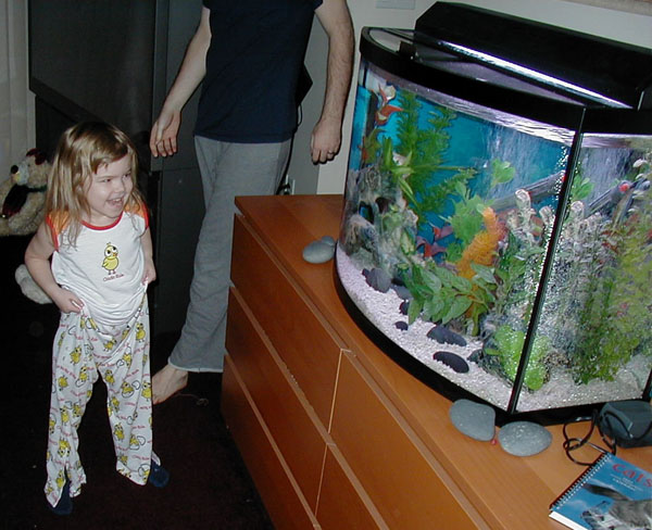 My daughter sees the tank for the first time - she'd been begging me for 2 months for fish.  She's VERY happy!