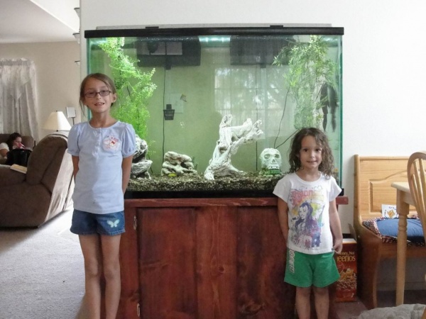 My girls and their Cichlid tank.