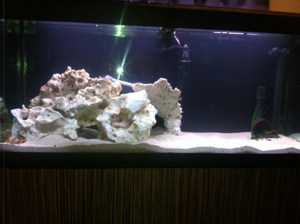 new rocks added and old filter and media from previous 54 litre