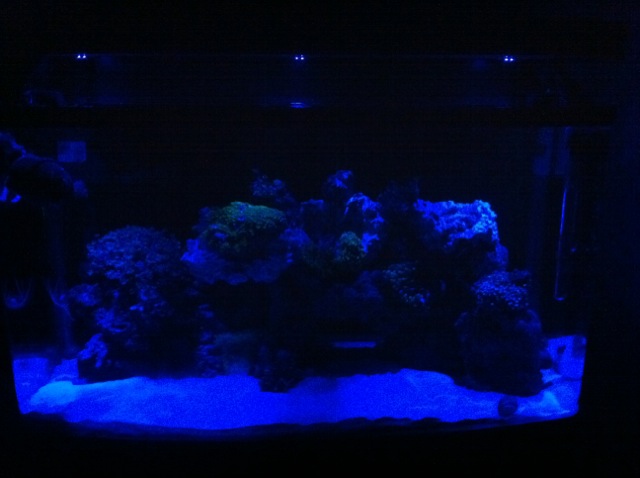 new scape 2 led s