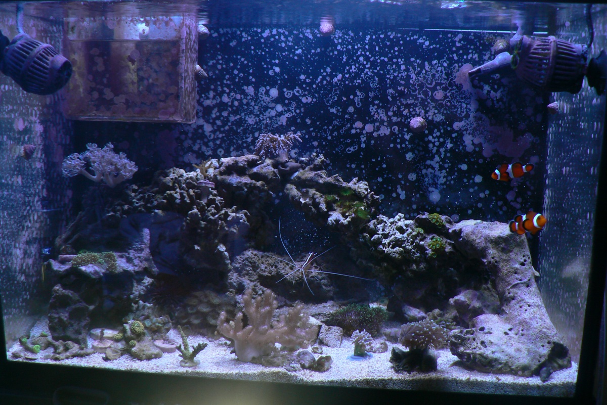 Old 20g scape