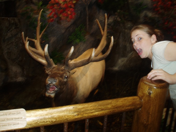 omg  an elk or sometin like that and my cousin