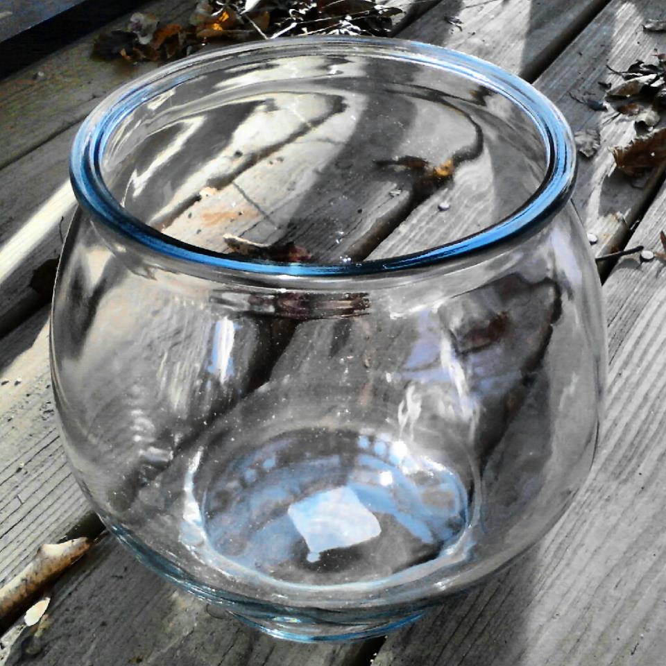 One gallon fish bowl