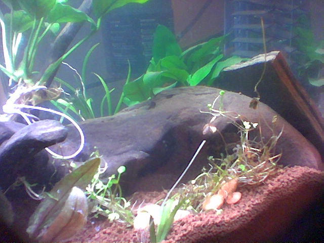 Other side of tank