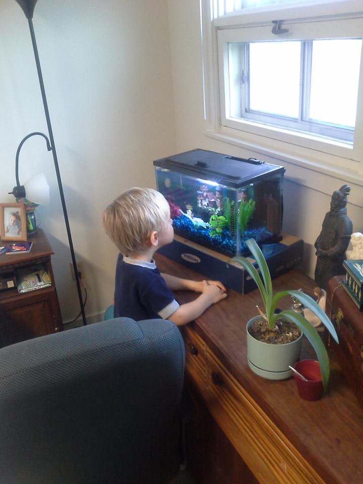 Our little man and Cute-fish