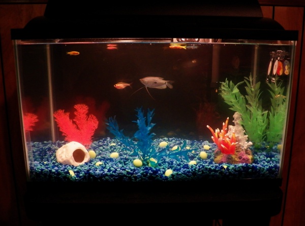 Our Tank :)