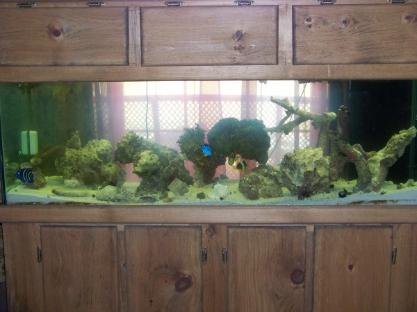 Our tank  :)