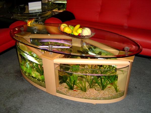oval coffee table aquarium