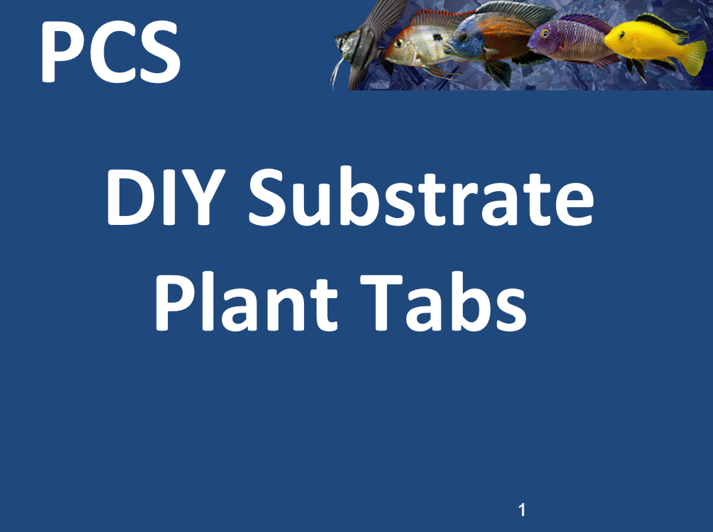 PCS May 2018 DIY Substrate Tabs p1