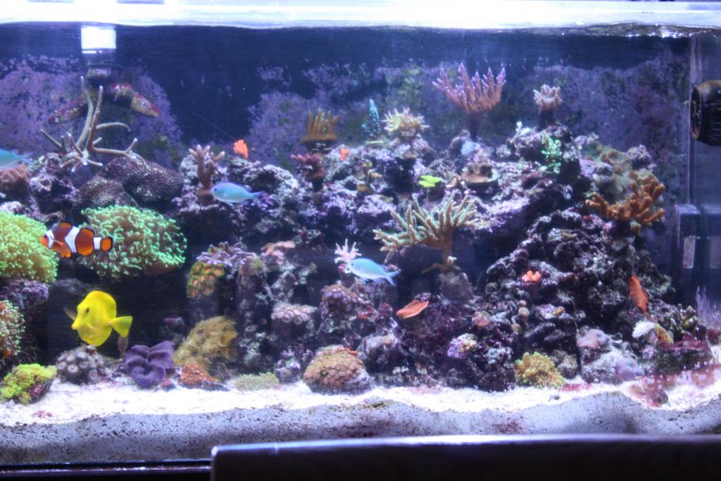 Right Side of tank