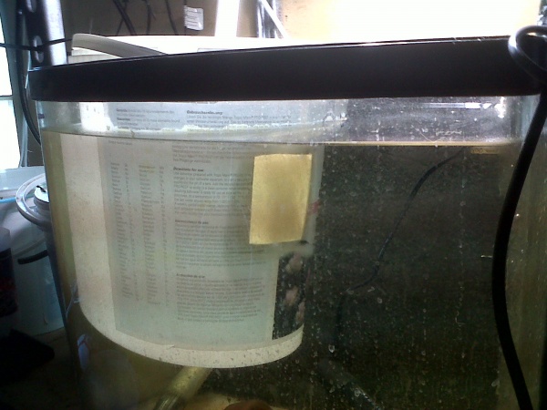 salt bucket with hole cut out and filter media covering hole,bucket submersed in fry growout tank