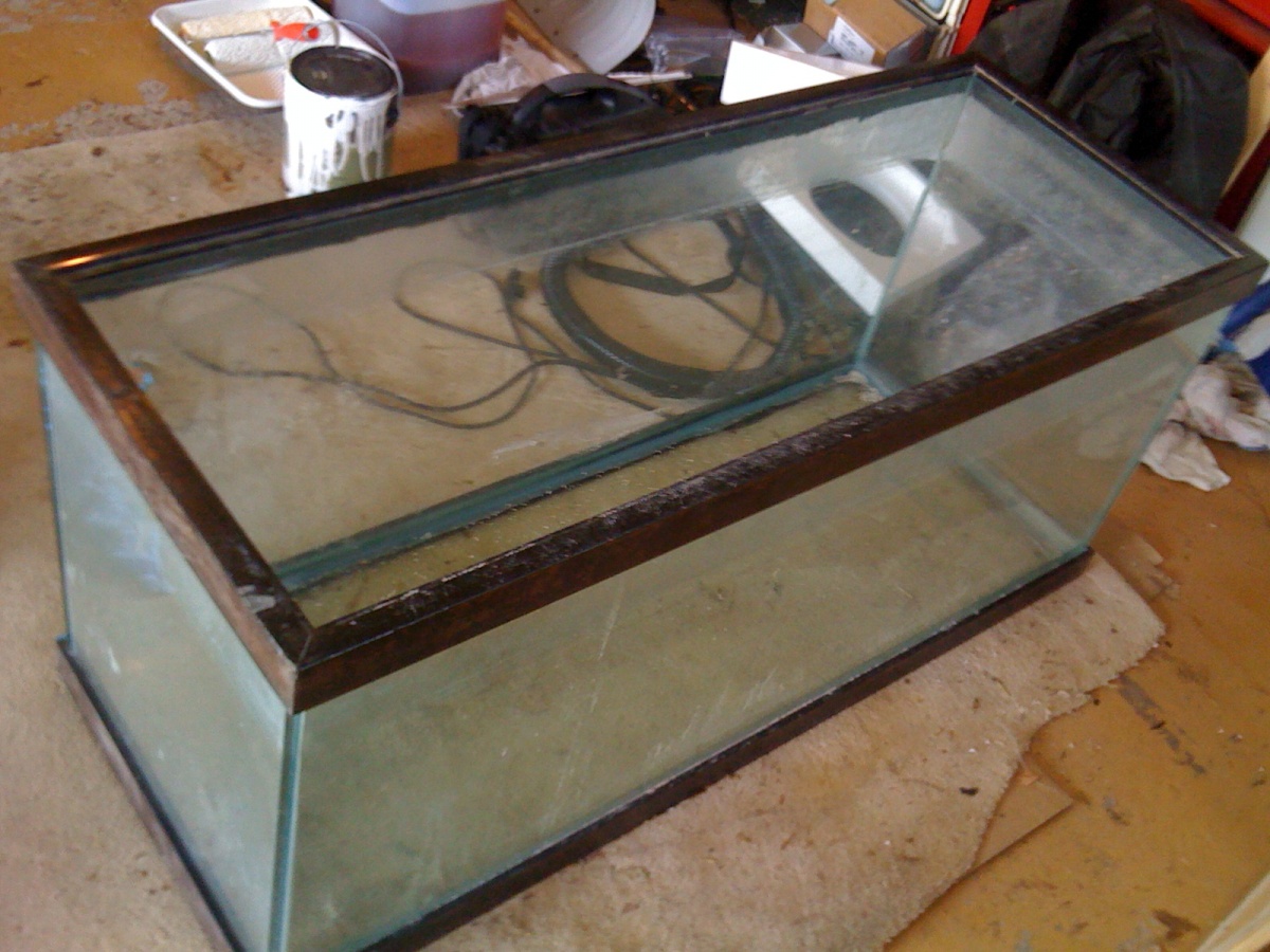 Soon to be new African Cichlid Tank
