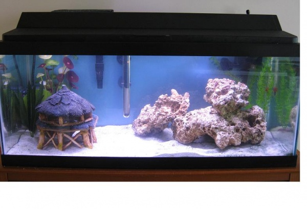 Still cycling / 20 gallon saltwater system...I want a fish already!!!
