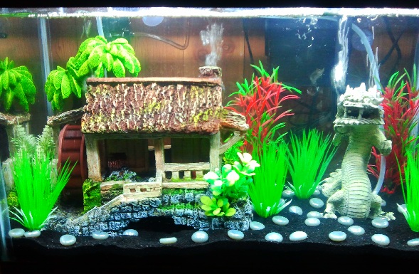 Still no fish will be getting black kuhli loaches and cherry shrimp. and I will be adding some marimo moss balls and maybe one day a java moss wall fo