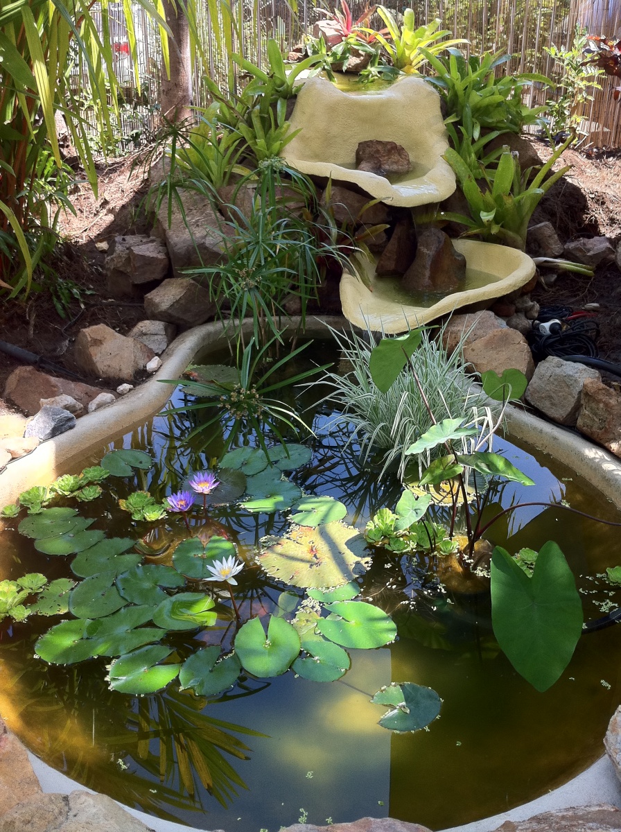Tank 3: outdoor pond