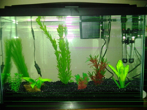 tank empty no live plants or fish (filter that came with kit not the one im running now)