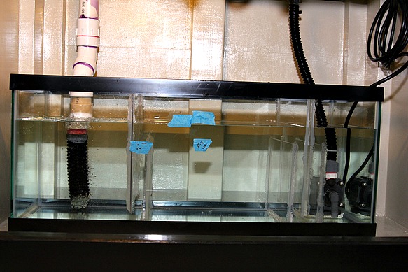 Testing baffle design and flow within the sump.