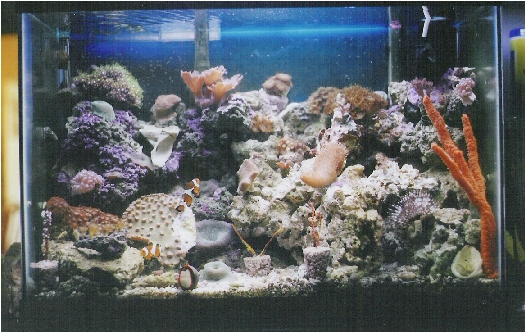 The most recent full tank shot