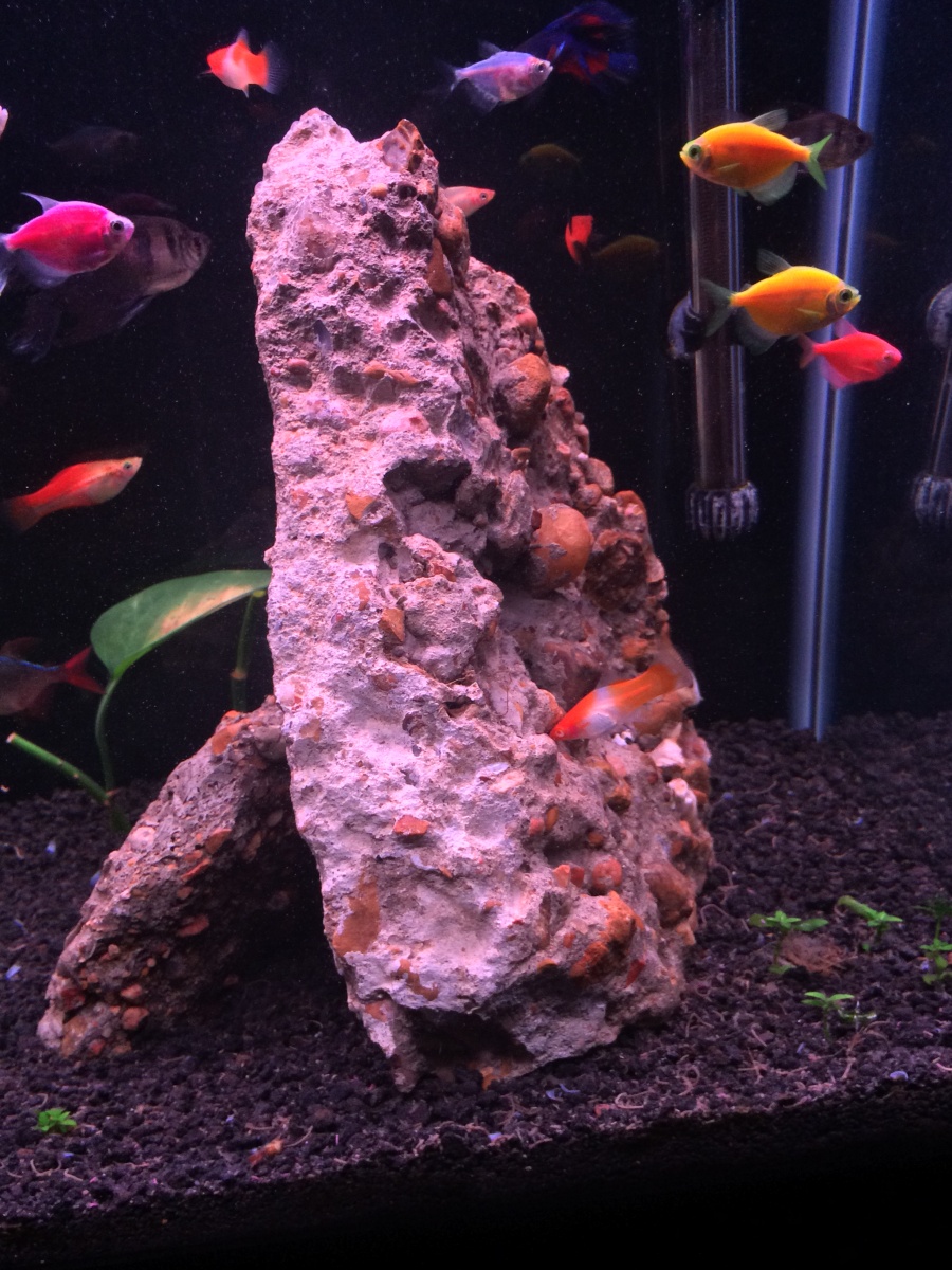 The really big stone that barely fit in my tank and is held up by a smaller stone and making a cave for my pleco to hide.