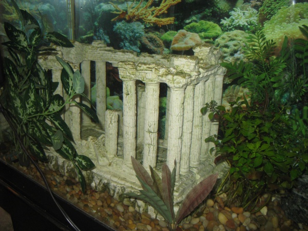 the ruins :) silk plant to the left, silk plant in front and live red ludwigia on the right