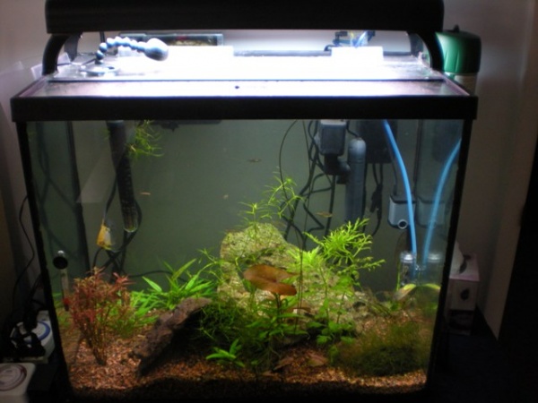 The tank during daylight hours