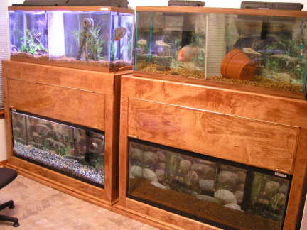 These are the 55gal stands with out the canopys.. My husband made them