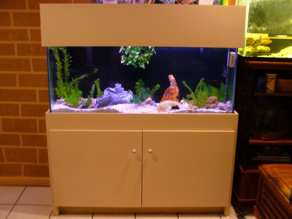 This is another 55gal, we are getting rid of this one, we replaced it with the 160.