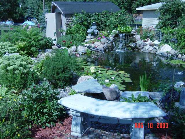 This is another shot of my pond.
enjoy :)