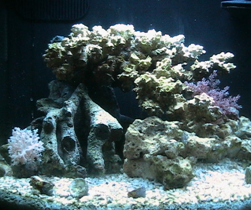 This is just another front view of the tank.