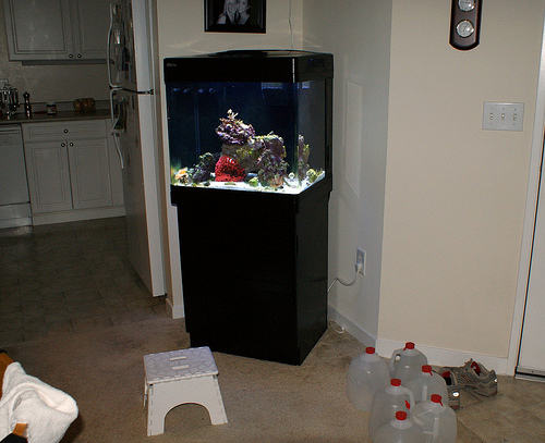 This is my Red Sea Max 130D, we are getting ready for our weekly water change, we change  between 8-10 gallons.