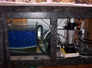 This is the area under the tank. You can clearly see the wet/dry filter and the protein skimmer. Behind the skimmer is the pump which feeds back into 