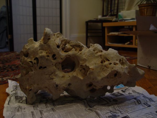 This is the new Holey Rock out of my tank a few minutes after I took it out of the box.  My pictures and the picture on Ebay do (did) not do this rock