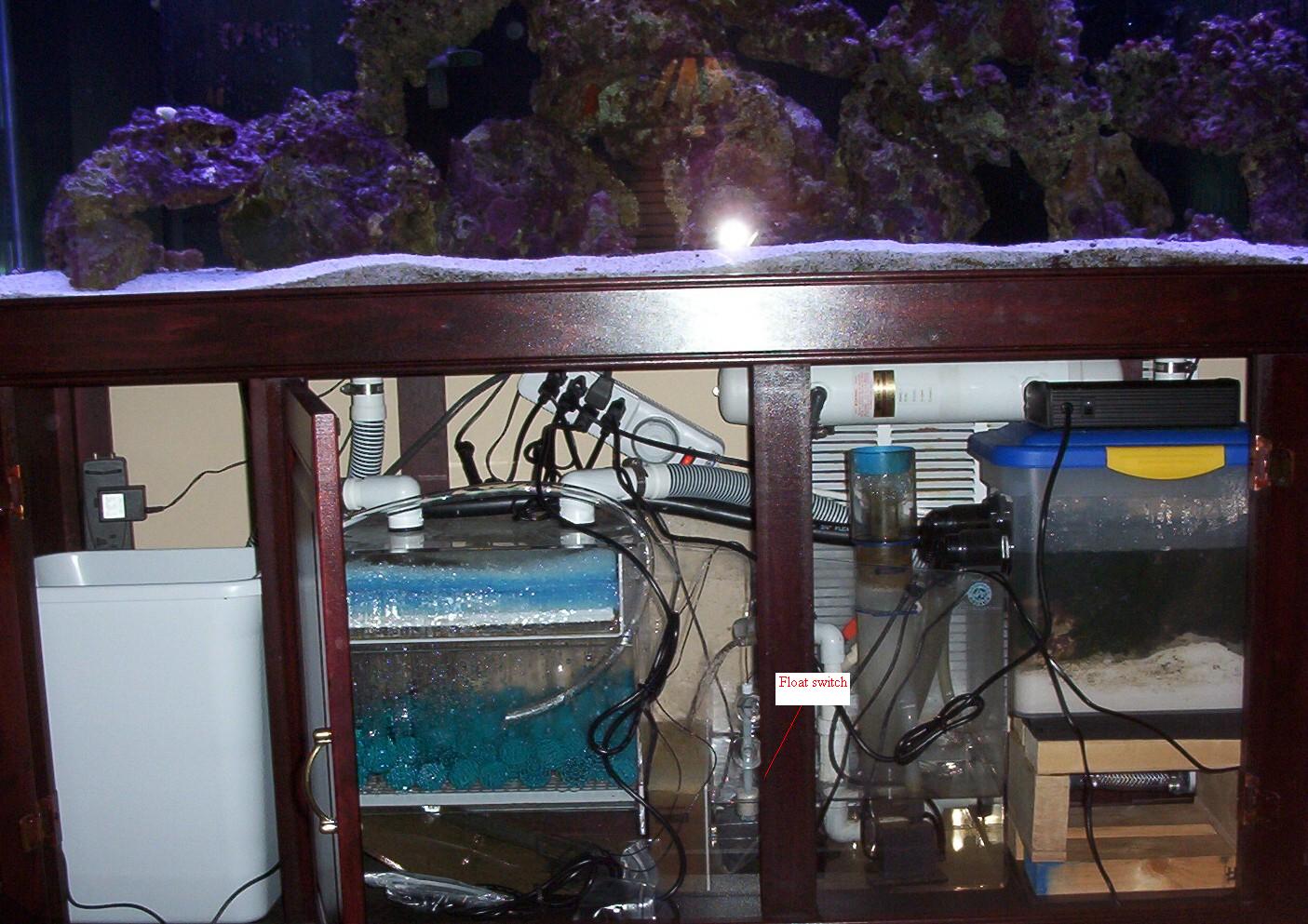 This setup is my first and a bit messy.  I have an auto top off & refugium setup going into my sump.