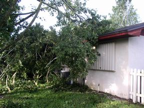 Tree limbs fallen on roof and screen enclosure after Hurricane Charley