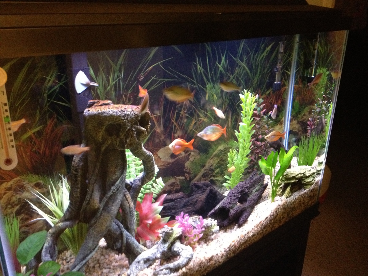 Wide shot of the entire tank
