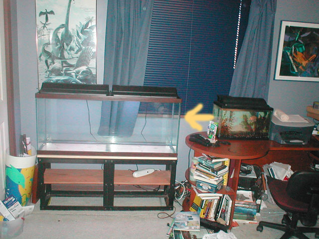 Yeah, I know I'm terrible for keeping that 10-gallon, but now my fish will have some stretching room.  Woo.