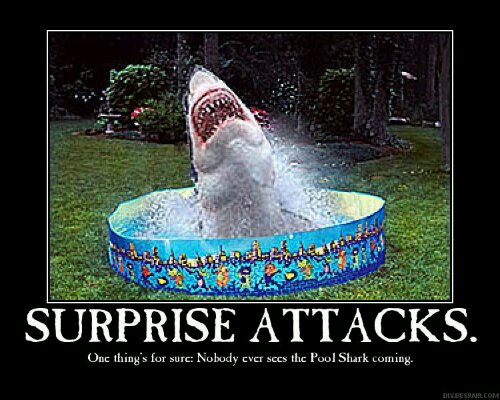 pool+shark.jpg