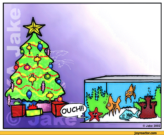 christmas-tree-fish-834361.gif