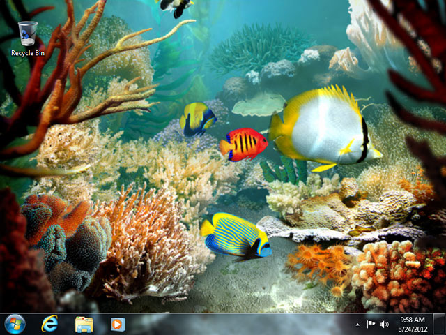 fish_screen01.jpg