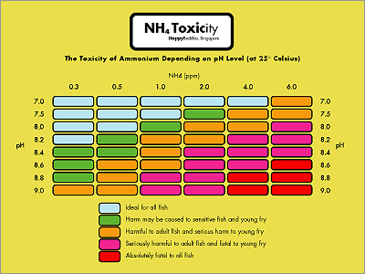 nh4-toxicity-small.gif